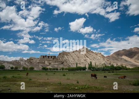 Shey Palast aus den Sümpfen vor, Leh, Ladakh, Indien, Asien gesehen Stockfoto