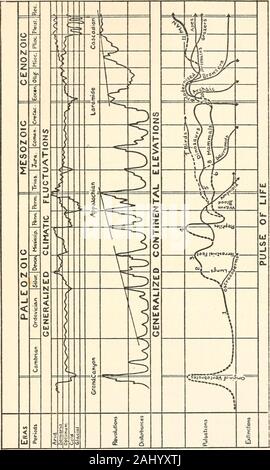 Die Entwicklung der Erde und ihrer Bewohner; eine Reihe geliefert, bevor die Yale Kapitel der Sigma Xi während des akademischen Jahres 1916-1917. unzuverlässig, dass es nicht war die große Archeozoic thoughtwise und Proterozoikums eraswithin das System einzubeziehen. Der Zeitwerte der mehrere includederas sind nicht proportional angegeben, zu viel Platz durch die erdneuzeit gegeben farbeing wegen seiner biologischen Interesse. In der Tat, seine Dauer mehr Fast comparableto, von Perm. Die Kurven sind notwendigerweise allgemeine, für Es wasneither Raum noch Notwendigkeit für mehr Details. In Stockfoto