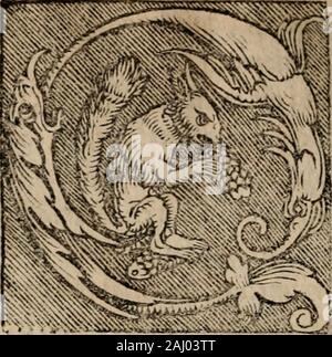 Sentenciae ex doctoribvs collectae, qvas papistae ualde impudenter hodie damnant. rouoluntate mcxcufabilis. oluntas enimcli^ qute fccum cjfct libcrdi [mmff^ itt^ cc4Ti i (eccm affenticndo^ U9 Lunt4i DE LTBERO ARBITRrO. uotuntas nMo minui efl, Qu^ fefub pecc 4 l § tcnct uoluntdric fcruicnlo. ide quid dicds dit dliquis mihi, Muoluntarium dicisyquod iam neceffarium confiat cffc ich Vcrum quidcm cfl. quod uoluntasfeipfam addixcrit/cd nicht ipfafc retinet tmagiirctinctur Cr notens, Kc^ onpo, Bene ho 9 faltcm das, quia (weil rctinctur, Fed uigilanter rctinetur, uoluntatcm cjfc qu^ retinere j^^ uoluntatcm terit, itac nQlcnt Stockfoto