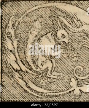 Sentenciae ex doctoribvs collectae, qvas papistae ualde impudenter hodie damnant. cnc-cmnibui fiiientibMin DominOy qui tlhiminctcorda fidclium. Ein Al E N-Imprcffum YVitchergje upud lofc^ humKlug. AnnoDomini, M. D. XXXVI. B, iiij * fh^ ij. li. iiij pro iu^4 S lcge B pij. ^.. ij//. ij pro dc] l> onfm Ugcdej onfmt^^. C* iij. Fk. I Li.tif intcrfiicimiii Cr vor * hendodcfunthcpx ucrbn. ScdiUejhcit Ut^* cimm, ihidem 11 xij pro Qum lcgc qunm. C s. ft,.li iij abundat. quid, C ri*t^. ijAi. ij. i^bmdnt nicht. ir7^^ Cr/U^ttn GU***^* =*^ Uo $ Jk: fl^TU^ rtffc yWf (h^c jxUcS vz ^ fXc^ Tg/ff ^ tn*^ copi^ U^i*^ em Erie/ Stockfoto