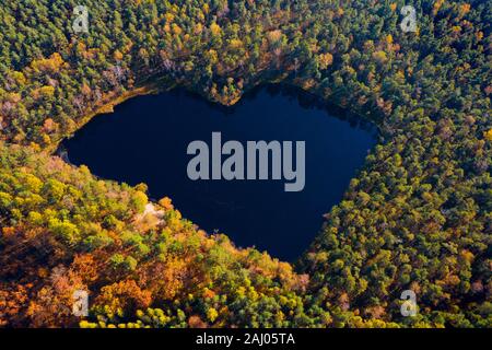 Wald See in Herzform, romantische Liebe versteckt Teich Stockfoto