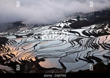 Sonnenaufgang über Reisterrassen von Yuanyang, im Süden der Provinz Yunnan, China. Im Winter, die Terrassen sind überschwemmt, die schöne Spiegelungen im Wasser. Stockfoto