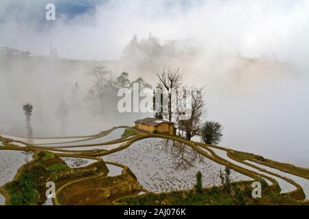 Sonnenaufgang über Reisterrassen von Yuanyang, im Süden der Provinz Yunnan, China. Im Winter, die Terrassen sind überschwemmt, die schöne Spiegelungen im Wasser. Stockfoto