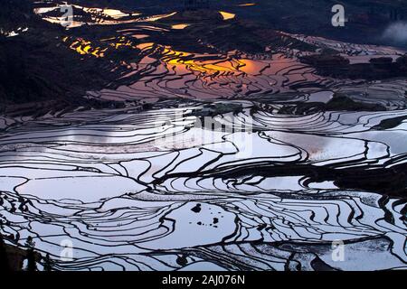 Sonnenaufgang über Reisterrassen von Yuanyang, im Süden der Provinz Yunnan, China. Im Winter, die Terrassen sind überschwemmt, die schöne Spiegelungen im Wasser. Stockfoto