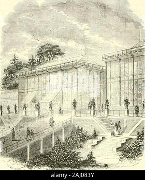 Le Jardin des Plantes: Beschreibung. e la plante; ce nomviendra plus tard. Sachons dabord leclal, la Propriété, la plus peliie ligurede La Fleur,-et Celles la ne soûl |&gt; als les Mi: iins Inté-ressantes. Cueillez une Marguerite dans les cliauips; que vous explique larbre connue il ein Explique La Plante. Quant aux-ihr-Biers, Les Herbiers nous Servent de ineiuoratif pour les plantesque Lon ein Déjà connues; Mais ils Font mal connaître Celles quonna pas vues auparavant: ainsi Le Portrait dun homme qui Frappe davantage nestplus vous lorsque vous lavez 1611 dans savie. "Pour Komponist un herbier, Stockfoto