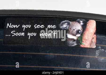 Ein Fahrzeug, Schaufenster Aufkleber; Koala überleben Kampagne an der Sunshine Coast in Queensland, Australien Stockfoto