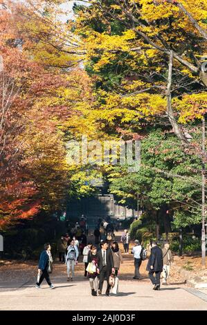 TOKYO, Japan - 29.November 2017 - Menschen schlendern unter der bunten Blätter im Herbst in Ueno Park, Tokio Stockfoto