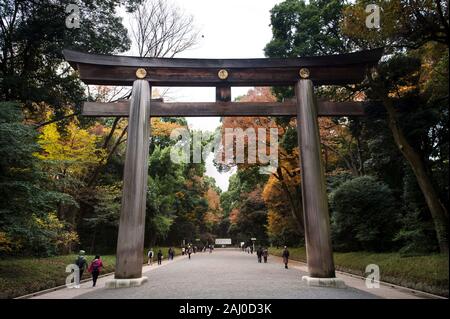 Großen torii Tor am Eingang zum Meiji-schrein, Shibuya, Tokio, Japan Stockfoto