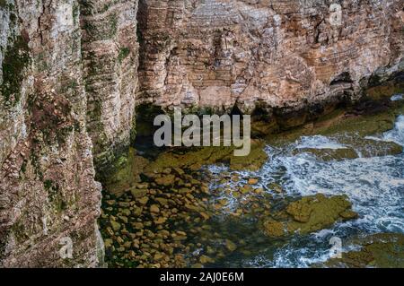 Erodierte Meereshöhlen bei North Landing in Flamborough Head, Humberside, von der Klippe aus gesehen. Stockfoto