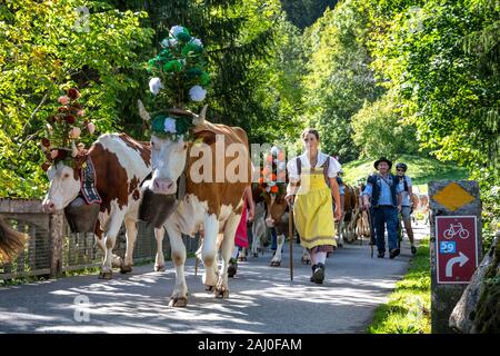 Charmey, Fribourg, Schweiz - 28 September 2019: Landwirte mit einer Herde von Kühen auf der jährlichen Wanderhaltung in Charmey in der Nähe von bulle, Freiburg Zone auf Stockfoto