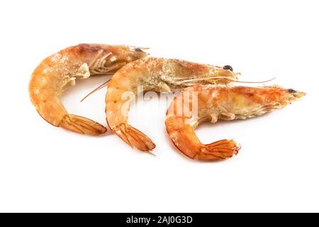 Frisch gekochte Garnelen isoliert auf weißem eingefroren Stockfoto