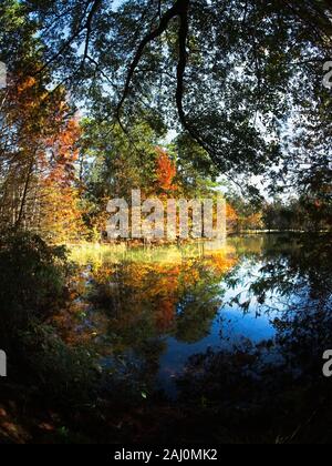 Conroe, TX USA - 11/15/2019 - Herbst Bunte Bäume von See 2 Stockfoto