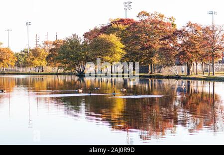 Bäume um Argyle See in Babylon Dorf sind sehr farbenfroh im Herbst dreht sich die Blätter Farben und sie spiegeln sich im Wasser, wie die Sonne auf einer O steigt Stockfoto