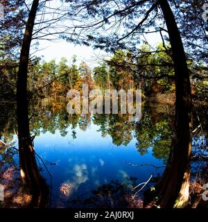 Conroe, TX USA - 11/15/2019 - Herbst Bunte Bäume am See 4. Stockfoto