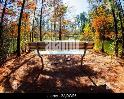 Conroe, TX USA - 11/15/2019 - Herbst Bunte Bäume von See mit Park Bench Stockfoto