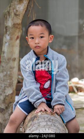 Junge vietnamesische Jungen rittlings auf Baumstamm sitzend, Ben Tre Provinz, Vietnam Stockfoto