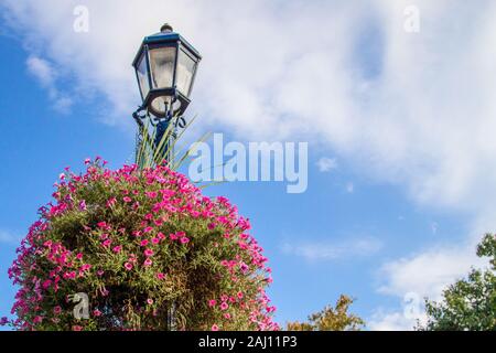 Traditionelle Lamp Post. Altmodische Laterne mit einem großen hängenden Korb von üppigen rosa Petunien Stockfoto