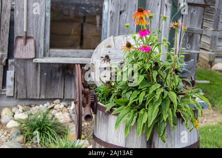 Country Style Garden. Topfpflanzen, Schaufel und kleine, malerische Holz garten Gartenhaus. Stockfoto