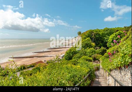 Beachy Head Nature Reserve in der Nähe von Eastbourne, East Sussex, Südengland Stockfoto