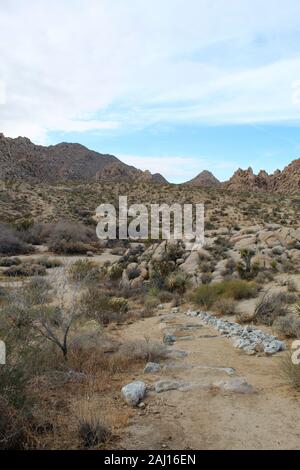 Indian Cove Trail, ein kurzer Trek, ca. 0,6 Meilen durch native phytocoenosis des Südlichen Mojave Wüste Joshua Tree National Park. Stockfoto