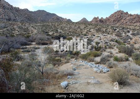 Indian Cove Trail, ein kurzer Trek, ca. 0,6 Meilen durch native phytocoenosis des Südlichen Mojave Wüste Joshua Tree National Park. Stockfoto