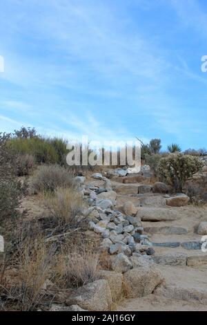 Indian Cove Trail, ein kurzer Trek, ca. 0,6 Meilen durch native phytocoenosis des Südlichen Mojave Wüste Joshua Tree National Park. Stockfoto