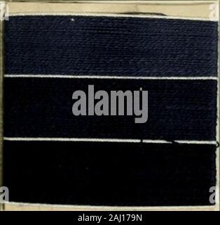 Revue générale des matières colorantes de la teinture, de l'Impression et des apprêts. Stockfoto