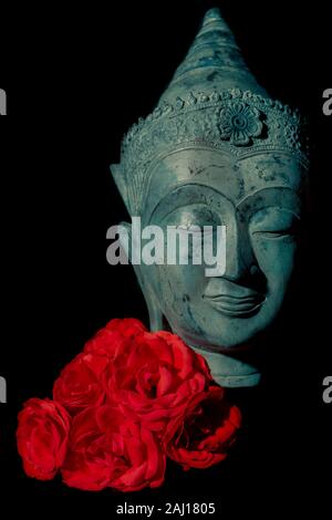 Spirituelle Liebe und Erleuchtung. Schönen traditionellen Blue Buddha Kopf Statue mit Deep red rose Blumen auf schwarzem Hintergrund. Ästhetische moderne Stockfoto