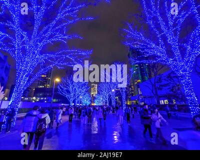 SHIBUYA blaue Grotte Illuminationen, Tokio Stockfoto