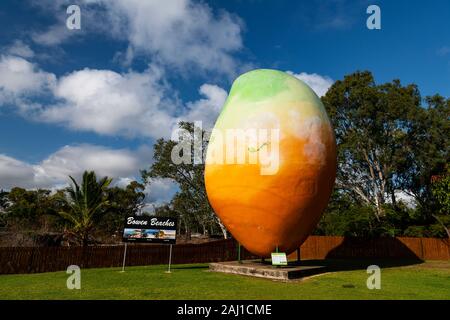 Die großen Mango ist ein Wahrzeichen der Stadt Bowen. Stockfoto