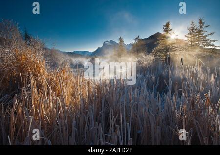 Zinnoberrot See in der Nähe von Banff, ein schöner Platz für Sonnenaufgang und Sonnenuntergang Fotos. Stockfoto