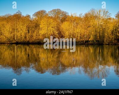 Golden gefärbten Bäume und Sträucher entlang des Sees im Wasser wider. Stockfoto
