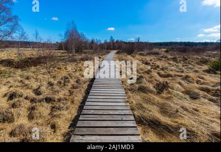 Typische Landschaft mit holzstege im Hohen Venn in der Nähe von Monschau. Stockfoto