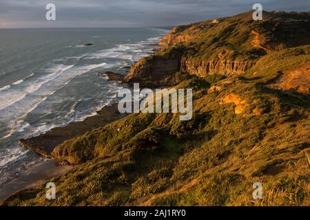 Die Te Henga Gehweg zwischen Muriwai und Bethells Beach an der Westküste von Auckland, Neuseeland. Stockfoto