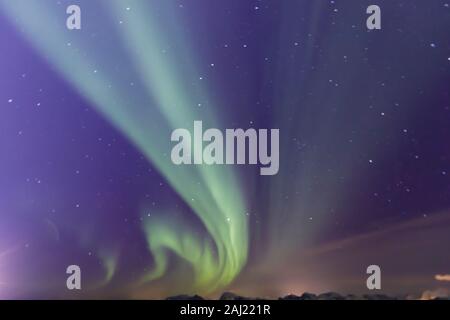 Nordlichter (Aurora Borealis), spektakuläre Show im Winter, Norwegische See, Lofoten, Nordland, Polarkreis, Nord Norwegen, Europa Stockfoto