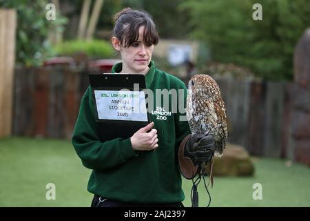 Zoowärter im ZSL London Zoo ausgegraben die Zwischenablage, und Rechner, wie sie heute fing Donnerstag 2. Januar zählen die Tiere bei der jährlichen Inventur im Zoo. Keepers stand vor der schwierigen Aufgabe des Buchens von oben jedes Säugetier-, Vogel-, Reptilien, Fische und Wirbellose im Zoo, kuratorische Assistentin sagte: Wir treten für das Neue Jahr mit der jährlichen Inventur und der Anzahl der Tiere, die jedes Jahr im Rahmen unserer Zoo, Lizenz, wir sie auch gemeinsam mit der Internationalen zoo Gemeinschaft unserer globalen Zuchtprogramme für bedrohte Arten zu informieren. ZSL ist die Heimat von mehr als 580 Arten. Stockfoto