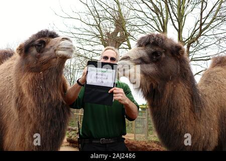 Zoowärter im ZSL London Zoo ausgegraben die Zwischenablage, und Rechner, wie sie heute fing Donnerstag 2. Januar zählen die Tiere bei der jährlichen Inventur im Zoo. Keepers stand vor der schwierigen Aufgabe des Buchens von oben jedes Säugetier-, Vogel-, Reptilien, Fische und Wirbellose im Zoo, kuratorische Assistentin sagte: Wir treten für das Neue Jahr mit der jährlichen Inventur und der Anzahl der Tiere, die jedes Jahr im Rahmen unserer Zoo, Lizenz, wir sie auch gemeinsam mit der Internationalen zoo Gemeinschaft unserer globalen Zuchtprogramme für bedrohte Arten zu informieren. ZSL ist die Heimat von mehr als 580 Arten. Stockfoto