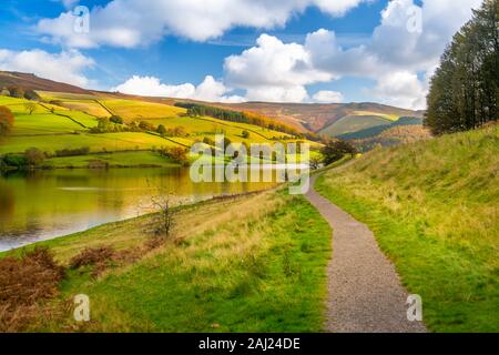 Blick auf Herbst Farben bei Ladybower Reservoir, Derbyshire, Peak District National Park, England, Vereinigtes Königreich, Europa Stockfoto