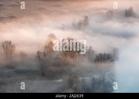 Awesome Sonnenaufgang über dem nebligen Wald Stockfoto