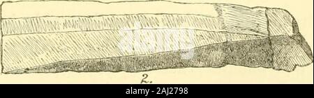 Die fünf großen Monarchien der alten östlichen Welt; oder, der Geschichte, Geographie und antiquites, Chaldäa, Assyrien, Babylonien, Medien und Persien. Nr. 1 und Nr. 2. Rückansicht des Flint Messer. Stockfoto