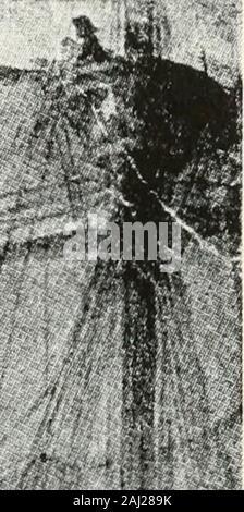Geschichte der Pilger und Puritaner, ihre Vorfahren und Nachkommen; Grundlage der Amerikanisierung. Stockfoto