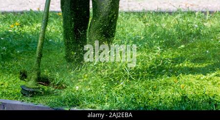 Gras Pflege mit Freischneider. Arbeiten mit professionellen Garten Werkzeug im Park. mit Trimmer line Gras an einem sonnigen Tag im Frühjahr zu mähen. Stück Stockfoto