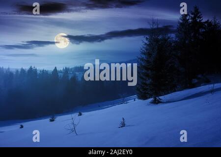 Wintermärchen Landschaft in den Bergen bei Nacht. schöne Natur Landschaft mit Nadelwald in Nebel und einige Fichten auf dem verschneiten slop Stockfoto