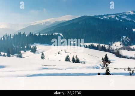 Bergige Landschaft im Winter. schöne ländliche Landschaft auf einem hellen, sonnigen Tag. Wald auf Schnee rollenden Hügeln Fichte. wunderschöne Landschaft Stockfoto