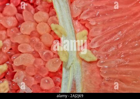 Frische pomelo Stockfoto