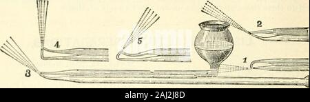 Saint Louis medizinische und chirurgische Journal. Aloe* ITenisteiiis Pat. Sattel Bag", 10. Stockfoto