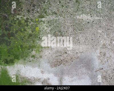 Verwitterte Betonmauer mit grünem Moos nützlich als Hintergrund Stockfoto