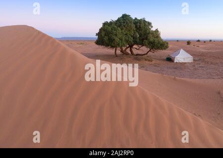 Camp mit Zelt in der Wüste unter den Sanddünen. Sonnigen Tag in der Sahara bei einem Sandsturm in Marokko malerische Hintergrund Natur Konzept Stockfoto