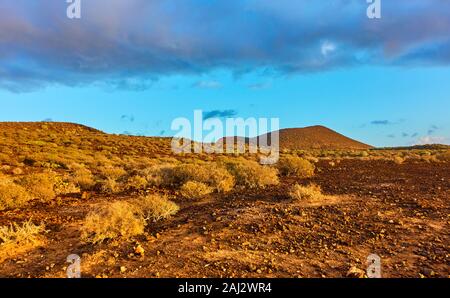 Wüste mit Büschen im Süden der Insel Teneriffa bei Sonnenuntergang, Kanarische Inseln - Landschaft Stockfoto