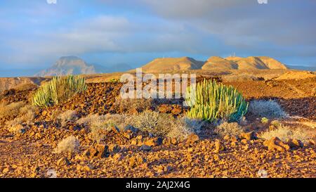 Panoramablick auf die Landschaft mit Wüste und Berge bei Sonnenuntergang inTenerife Insel, Kanarische Inseln, Spanien Stockfoto